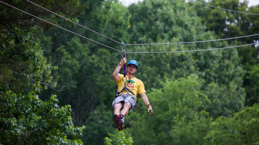 eod adventure park photos - Climbing Men