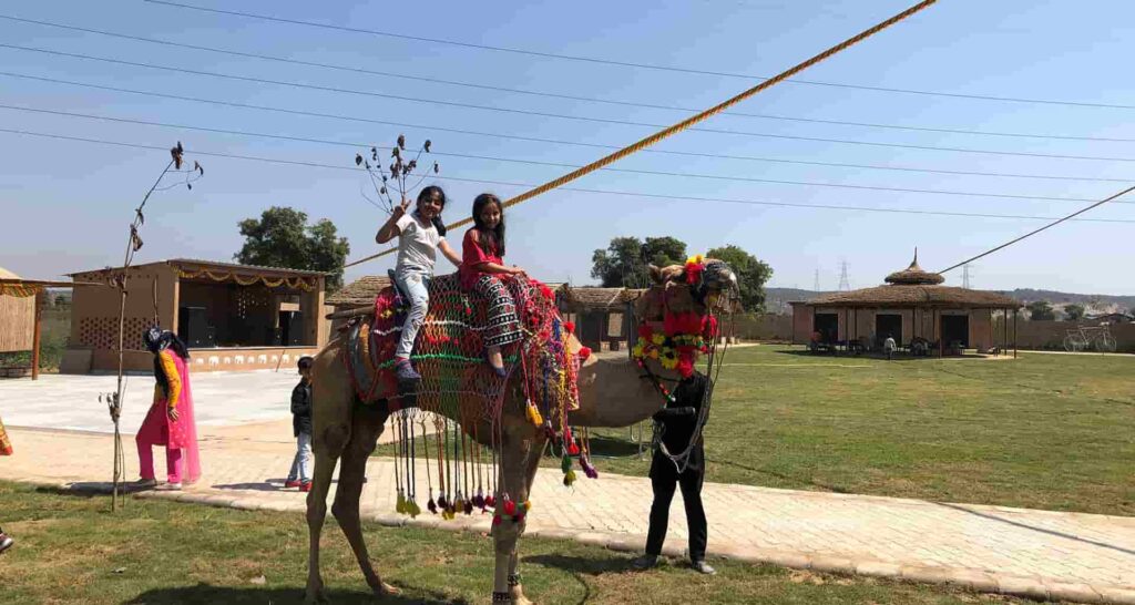 Madhavgarh Farms Gurgaon camel riding