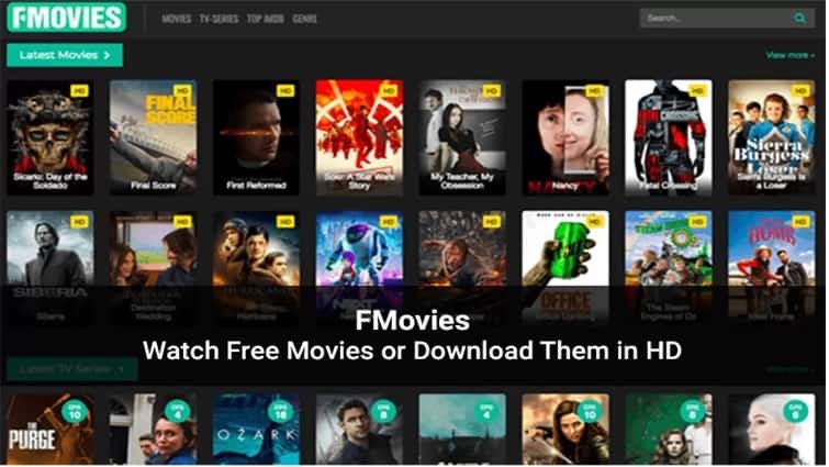 FMovies photo