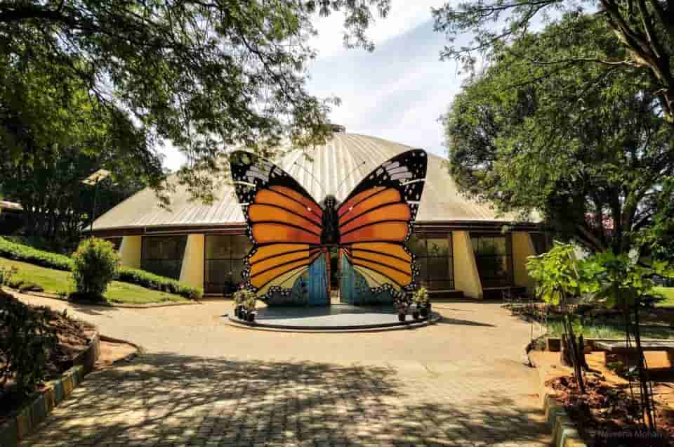 Butterfly Park Delhi photo-picture