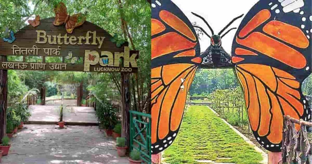 Butterfly Park Delhi picture