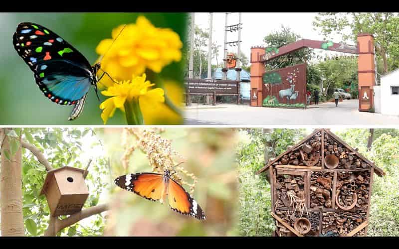 Butterfly Park Delhi picture-photos